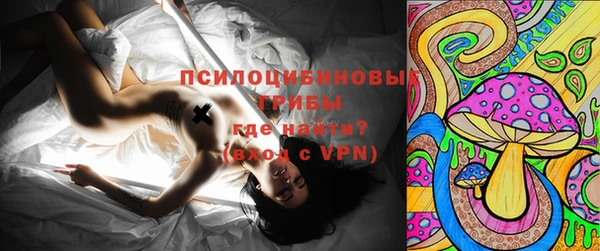 ALPHA PVP Осинники