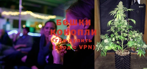 ALPHA PVP Осинники