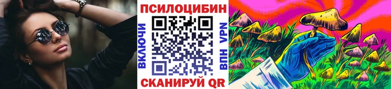 Псилоцибиновые грибы Psilocybine cubensis  Краснообск 